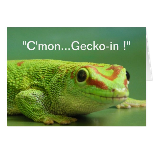 "Komaan...Gecko-in!" (Voorkant Horizontaal)