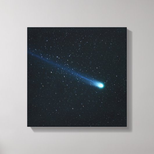 Komaan in Night Sky Canvas Afdruk (Voorkant)