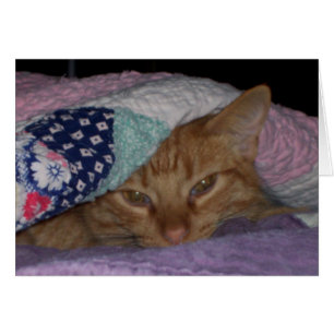 "Kombule"-kaart voor elke dag