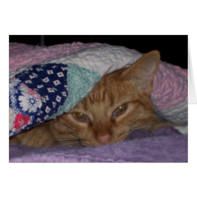 "Kombule"-kaart voor elke dag (Voorkant Horizontaal)