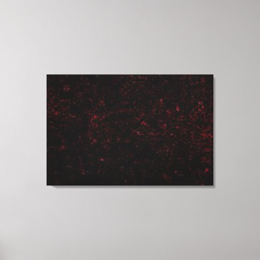 Komeet P:Shoemaker-Levy 9 Canvas Afdruk (Voorkant)