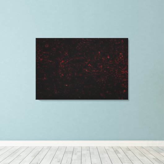 Komeet P:Shoemaker-Levy 9 Canvas Afdruk (Insitu (Houten vloer))