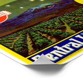 Komeetmerk Lemon Crate Label Western Litho Co Poster (Hoek)