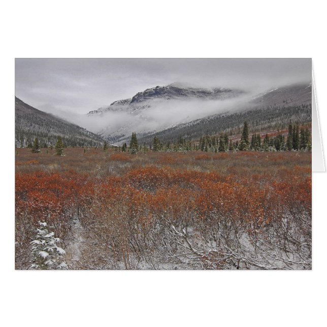 Komende winter (Voorkant Horizontaal)