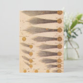 Kometen van Stanislaw Lubieniecki, sterrenkunde (Staand voorkant)