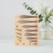 Kometen van Stanislaw Lubieniecki, sterrenkunde Briefkaart (Staand voorkant)