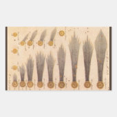 Kometen van Stanislaw Lubieniecki,  sterrenkunde Rechthoekige Sticker (Voorkant)