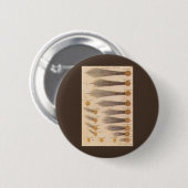 Kometen van Stanislaw Lubieniecki, sterrenkunde Ronde Button 5,7 Cm (Voorkant /achterkant)