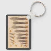 Kometen van Stanislaw Lubieniecki, sterrenkunde Sleutelhanger (Achterkant)