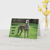 KOMIEK IERSE GREYHOUND GELUKKIG "60E VERJAARDAG" KAART (Gele Bloem)