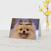 KOMIEK POMERANIAN GELUKKIG "60E VERJAARDAG" KAART (Gele Bloem)