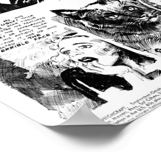  komiek poster (Hoek)