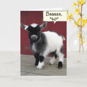 *KOMISCHE GEIT* JE ZIET ER NOG STEEDS "39" UIT OP  KAART (Gele Bloem)