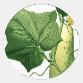 Komkommer Art Sticker 1 (Voorkant)