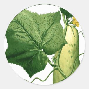 Komkommer Art Sticker 1
