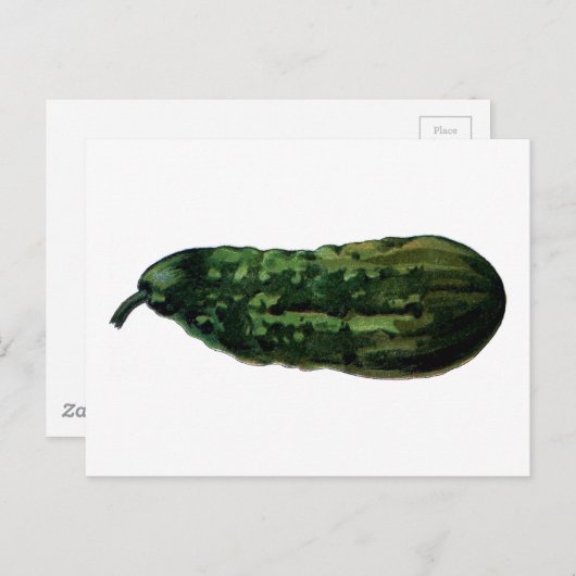 komkommer  briefkaart (Voorkant / Achterkant)