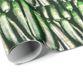 Komkommer Cadeaupapier (Rol Hoek)