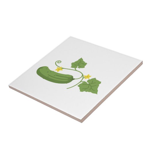 Komkommer Tegeltje (Zijkant)