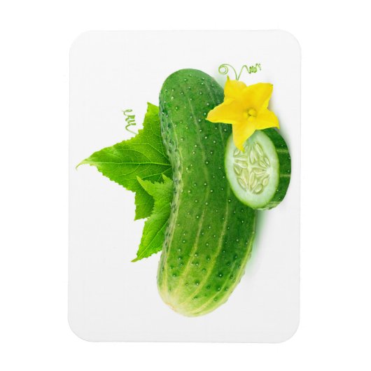 komkommer, vers magneet (Verticaal)