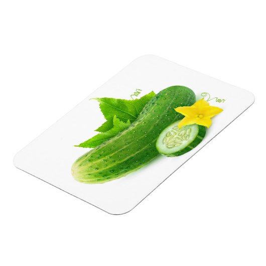 komkommer, vers magneet (Linkerzijde)