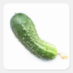 Komkommer Vierkante Sticker