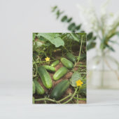 Komkommers Briefkaart (Staand voorkant)