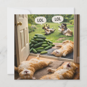 Komkommers grap met verkeerde slachtoffer kaart