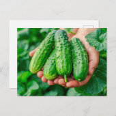 Komkommervariëteit uit de verse tuin feestdagenkaart (Voorkant / Achterkant)