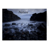 Kommen en Rocks langs de Ocean Shoreline (Voorkant Horizontaal)