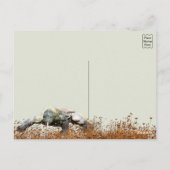 Komodo Draak Briefkaart (Achterkant)