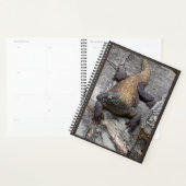 Komodo-draak Natuur Planner (Display)