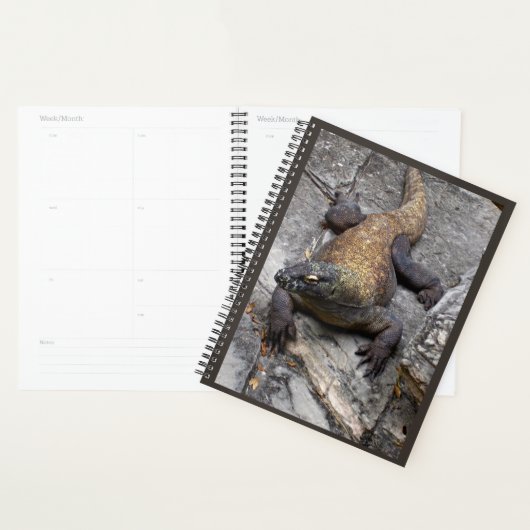 Komodo-draak Natuur Planner (Display)