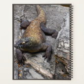 Komodo-draak Natuur Planner (Achterkant)