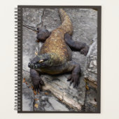 Komodo-draak Natuur Planner (Voorkant)
