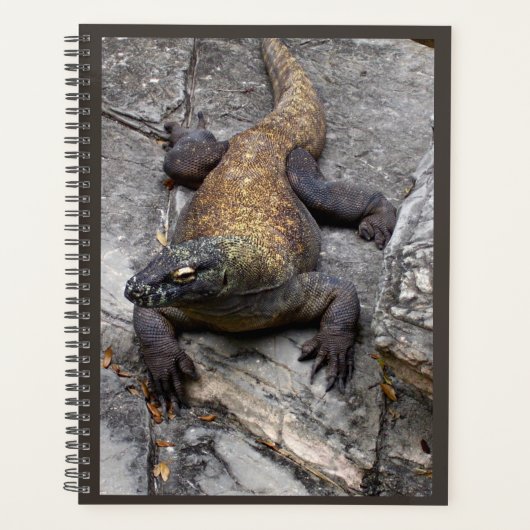 Komodo-draak Natuur Planner (Voorkant)