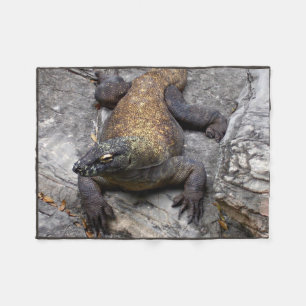 Komodo-draak warme rots scène fleece deken