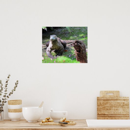 Komodo Dragon (0606) Poster (Keuken)