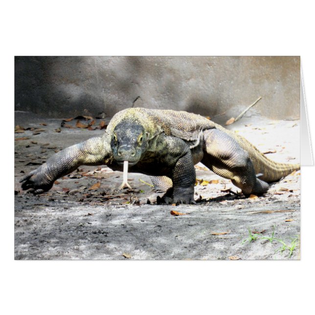 Komodo Dragon (0751) (Voorkant Horizontaal)
