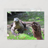 Komodo Dragon Briefkaart (Voorkant / Achterkant)