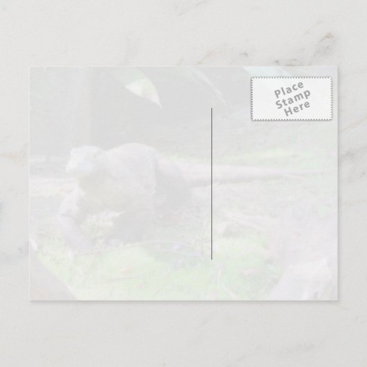 Komodo Dragon Briefkaart (Achterkant)