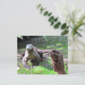 Komodo Dragon Briefkaart (Staand voorkant)