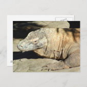 Komodo Dragon Briefkaart (Voorkant / Achterkant)