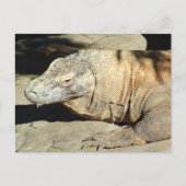 Komodo Dragon Briefkaart (Voorkant)