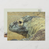 Komodo Dragon Briefkaart (Voorkant / Achterkant)