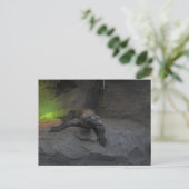 Komodo Dragon Briefkaart (Staand voorkant)