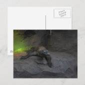 Komodo Dragon Briefkaart (Voorkant / Achterkant)