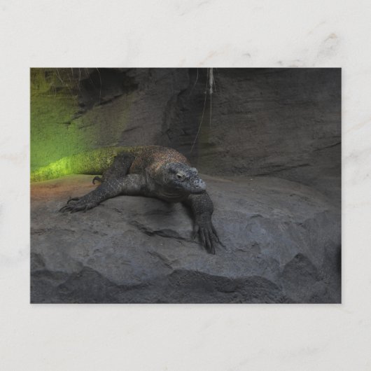 Komodo Dragon Briefkaart (Voorkant)