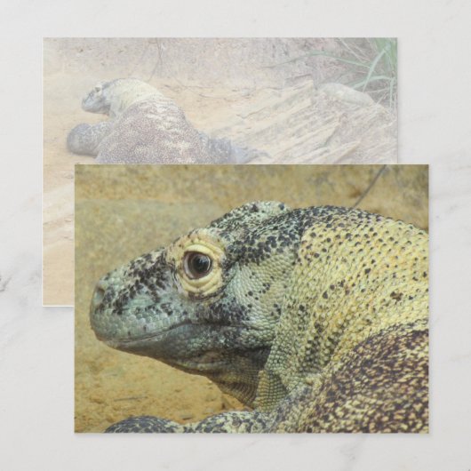 Komodo Dragon Briefkaart (Voorkant / Achterkant)