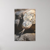 Komodo Dragon die zijn tong uittrekt Canvas Afdruk (Voorkant)