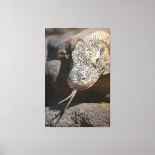 Komodo Dragon die zijn tong uittrekt Canvas Afdruk